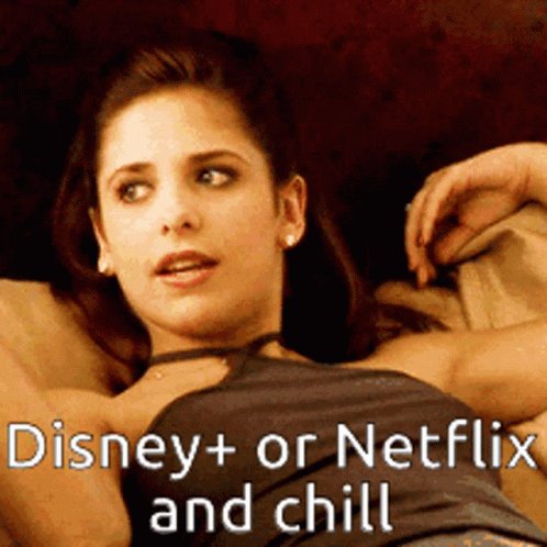 Disney Plus Netflix And Chill GIF