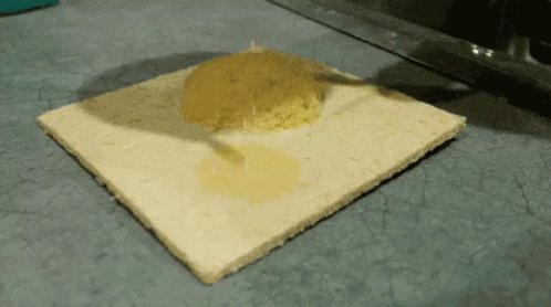 Sponge Absorbing GIF