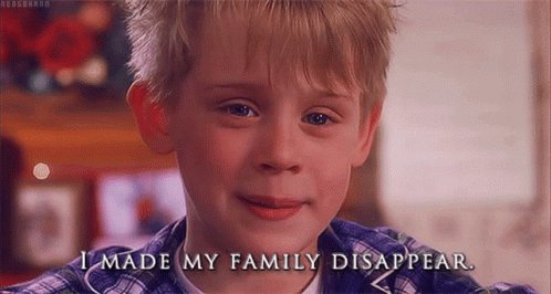 Movies Home Alone GIF