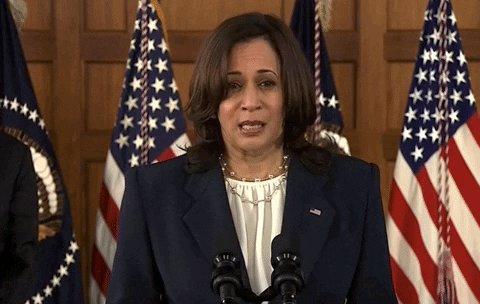 Kamala Harris GIF by GIPHY News