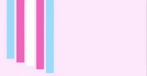 Trans Rights Transgender GIF