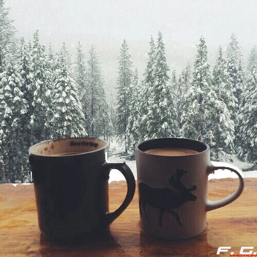 Been quiet but busy! I hope the winter season is treating you all well so far. I'm loving the snow I
