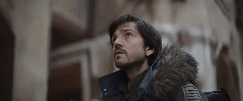 Happy Birthday Diego Luna 