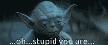 Stupid Yoda GIF