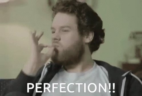 Perfection Flawless GIF