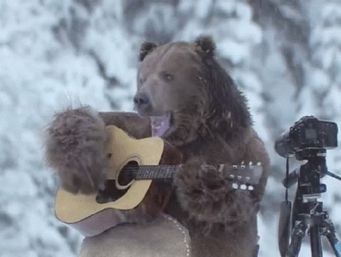 Bear Guitar Singing GIF