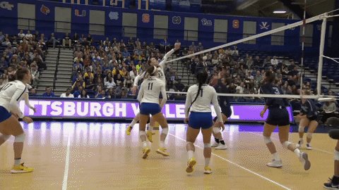 University Of Pittsburgh Celebration GIF by Pitt Panthers