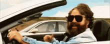 Blz Zach Galifianakis GIF
