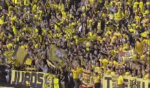 Dortmund Borussia GIF