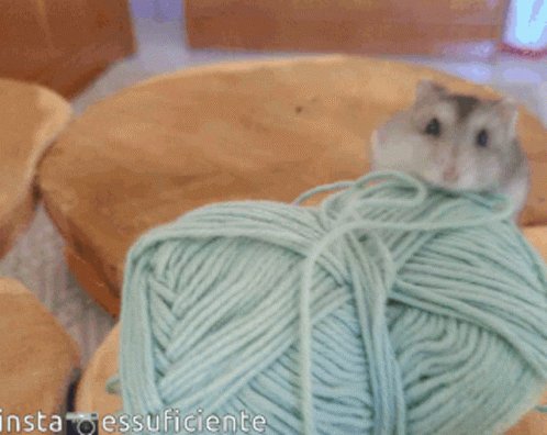 Hamster escala una gran madeja de lana verde menta.
