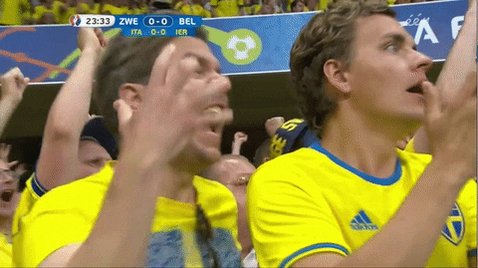 Euro 2016 Football GIF by Sporza