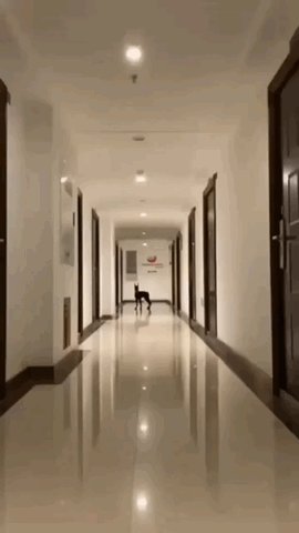Image of this social media content
