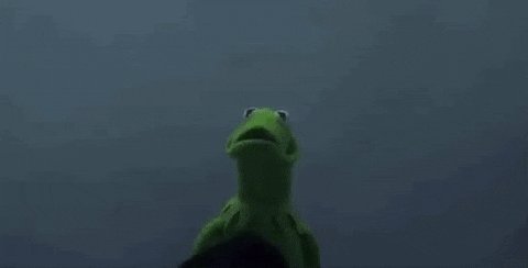 Kermit The Frog Meme GIF by Identity