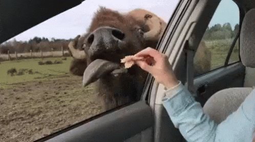 Enjoy! ?? https://t.co/PFpoESo9Sk https://t.co/LxfCpYpcgG