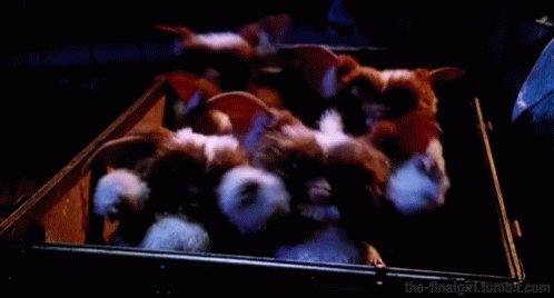 Gremlins Gizmo GIF