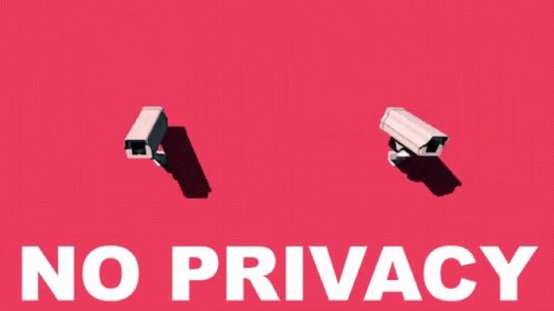 No Privacy GIF