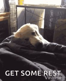 Hiding Under Covers Tired GIF