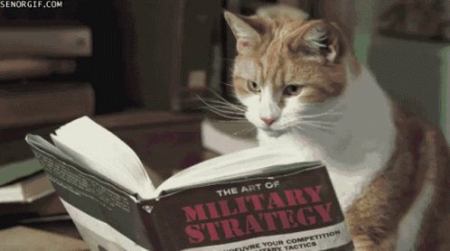 Reading Cat GIF