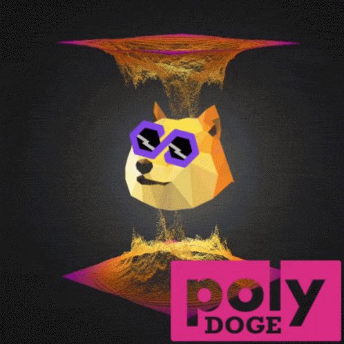 polydoge crypto