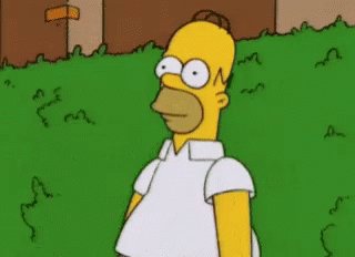 Homer Simpson The Simpsons GIF