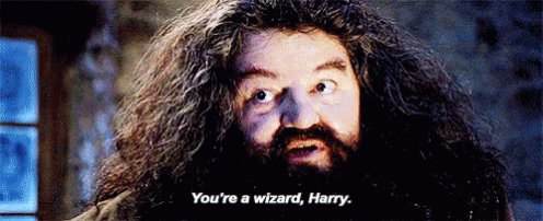 Hagrid Wizard GIF