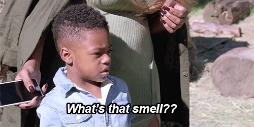 Basketball Wives Smell GIF ...