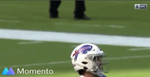 Joshallen Buffalo GIF