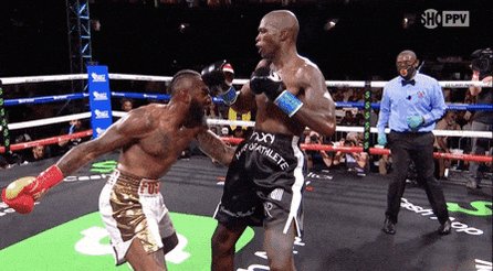 Chad Johnson Fight GIF by J...