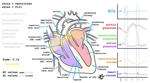 science art GIF