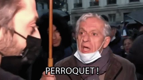 Perroquet Paul Larrouturou GIF