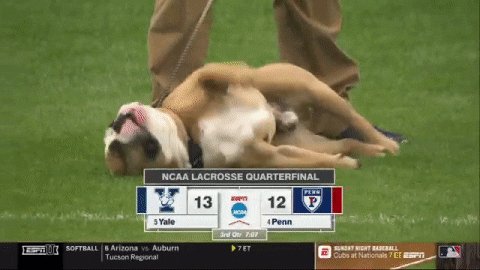lacrosse bulldogs GIF by NCAA Championships