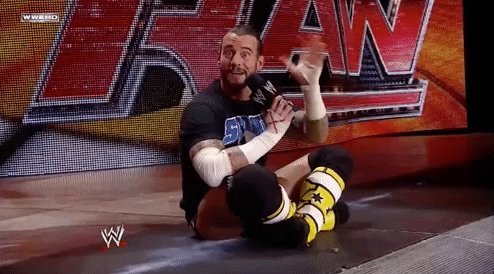 cm punk wrestling GIF by WWE