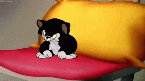 Kitty Kitten GIF