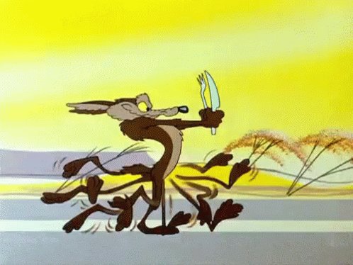 Wile Coyote GIF