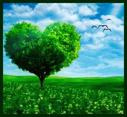 Green Heart Tree GIF