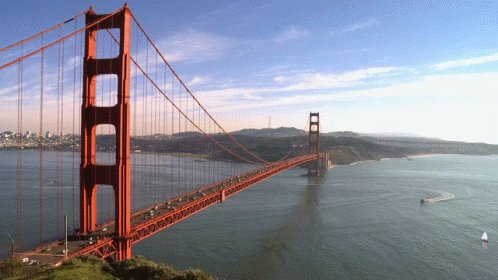 Reis Sanfran GIF