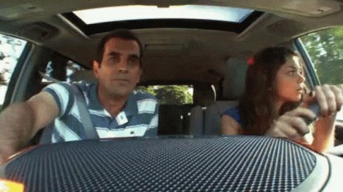 Joys Driving GIF