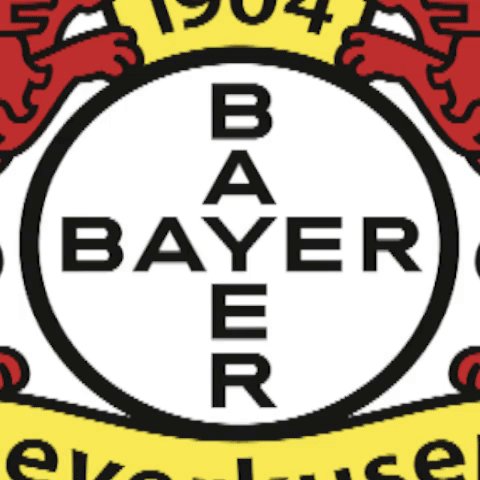 bayer 04 logo GIF