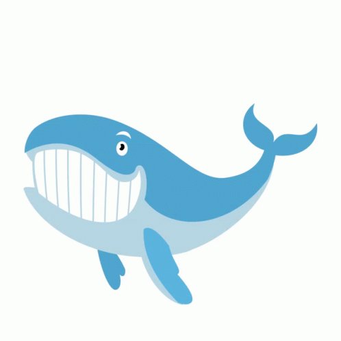 Unusual Whales Unusual Whales Shark GIF