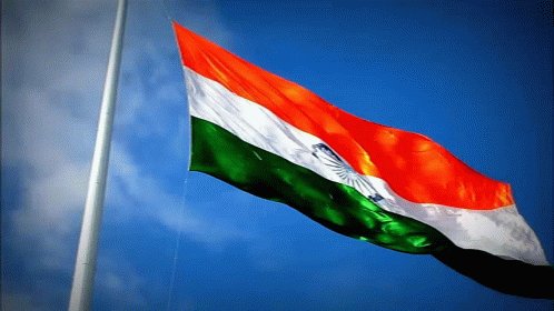 Indian Flag Flag Of India GIF