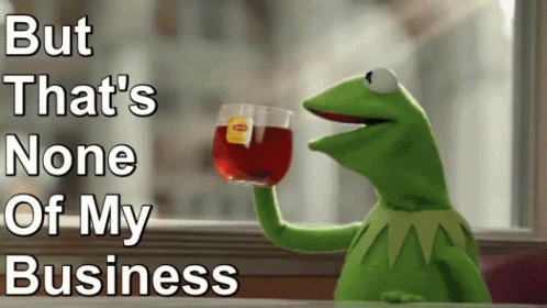 Kermit None Of My Business GIF