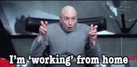 I'M 'Working' From Home GIF