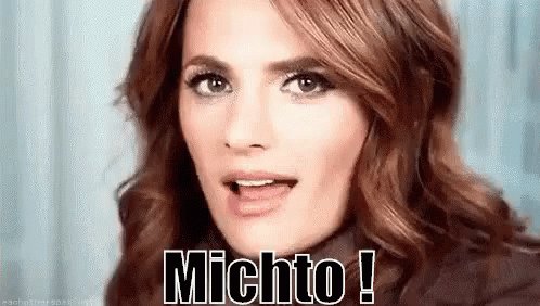 Michto Génial Okay Parfait GIF