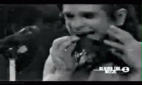 Ozzy Bat GIF
