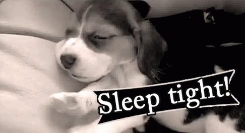 Sleep Tight Little Doggy Dude! GIF