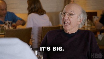 Season 10 Finale GIF by Curb Your Enthusiasm