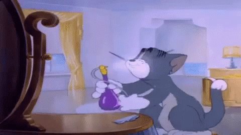 Puss NToots Tom And Jerry GIF