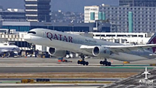 Qatar Qatar Airlines GIF