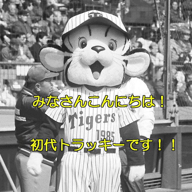 人気商品・限定商品ばかりの「超得 半額福袋」が販売開始 日刊スポーツ大阪本社 on X:  応援グッズ