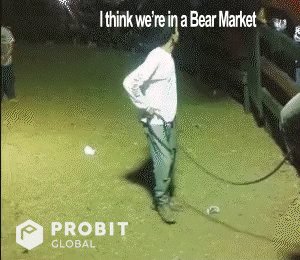 Bear Invest GIF by ProBit Exchange